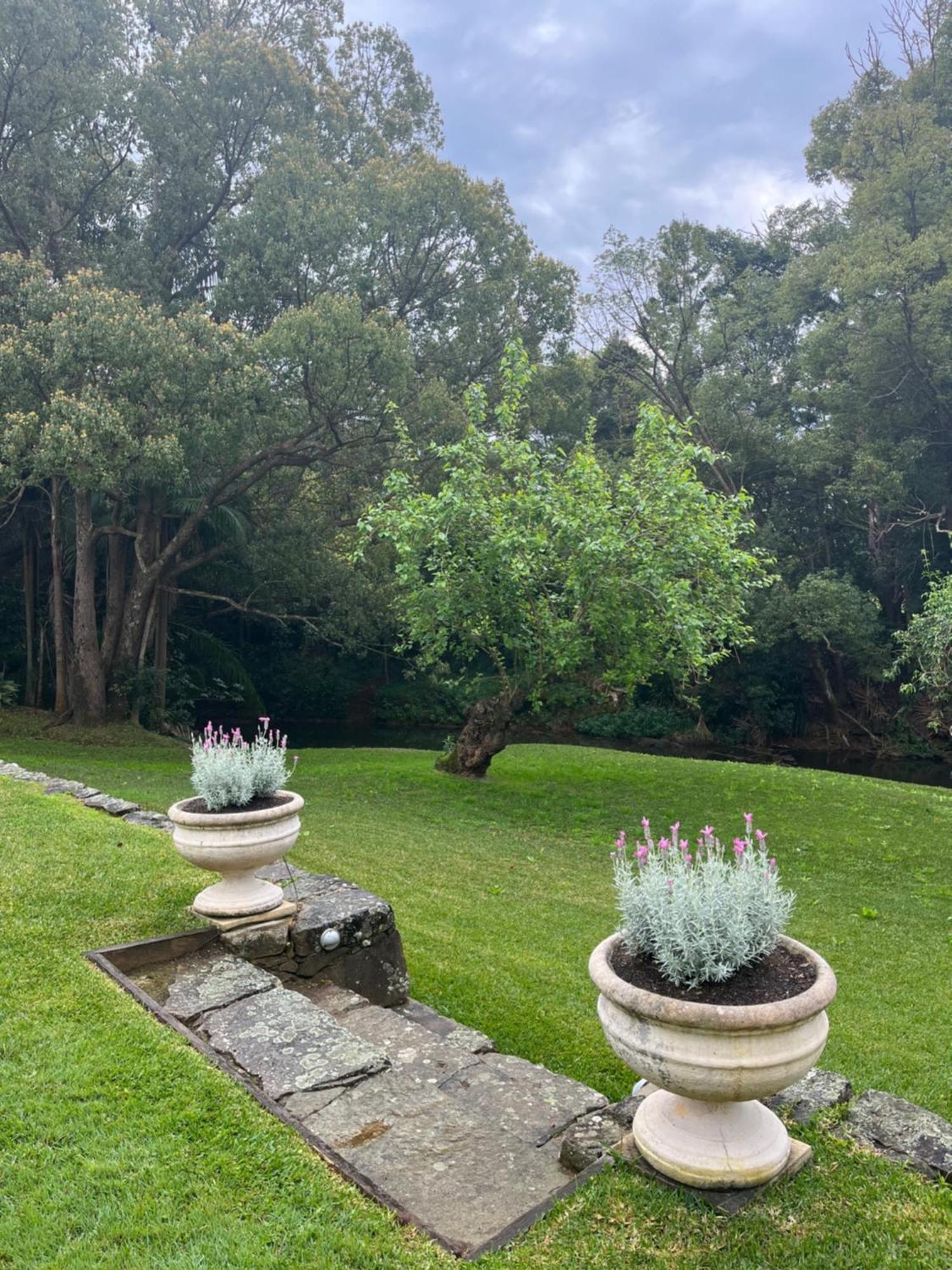 Bangalow Guesthouse מראה חיצוני תמונה